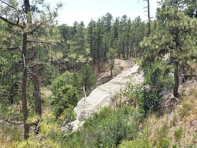 4465 Leprechaun Lane Colorado Springs, CO 80908