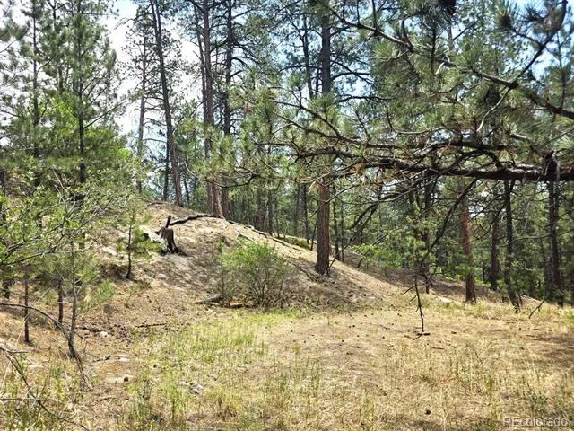 4465 Leprechaun Lane Colorado Springs, CO 80908
