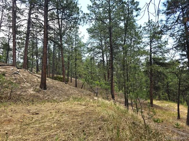 4465 Leprechaun Lane Colorado Springs, CO 80908