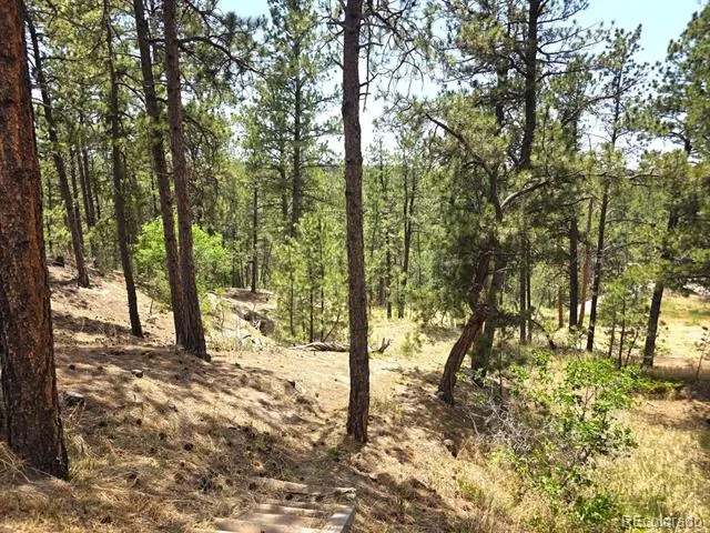 4465 Leprechaun Lane Colorado Springs, CO 80908