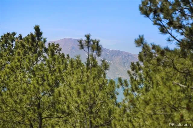 4465 Leprechaun Lane Colorado Springs, CO 80908
