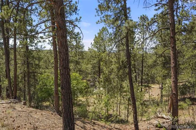 4465 Leprechaun Lane Colorado Springs, CO 80908
