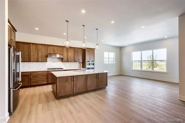 444 Agoseris Way Castle Rock, CO 80104