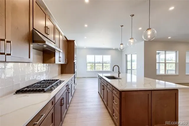 444 Agoseris Way Castle Rock, CO 80104