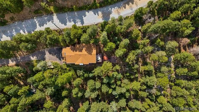130 Jackpine Lane Evergreen, CO 80439