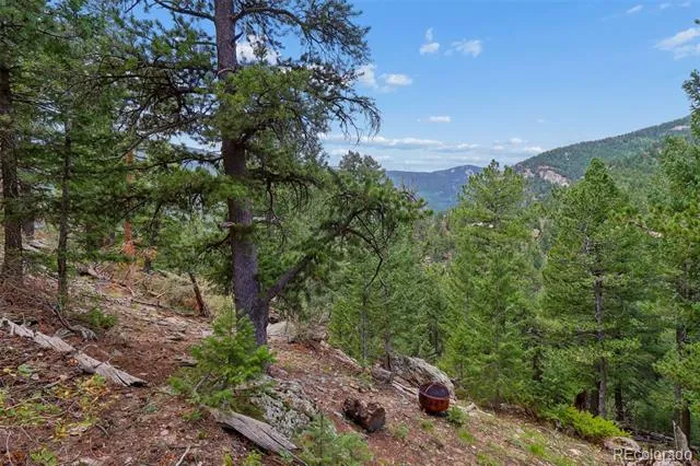 130 Jackpine Lane Evergreen, CO 80439
