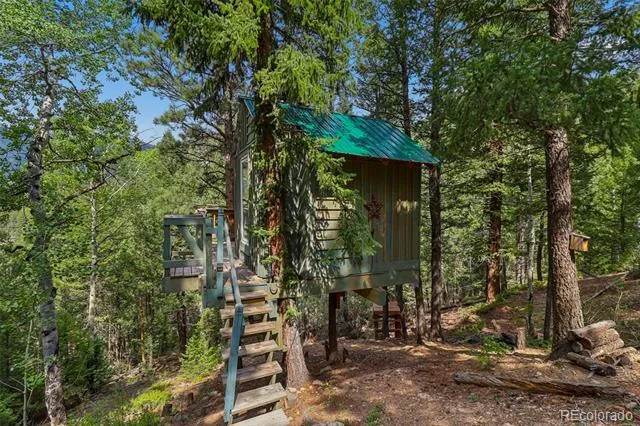 130 Jackpine Lane Evergreen, CO 80439