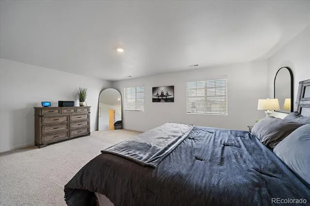 17911 Dandy Brush Lane Parker, CO 80134