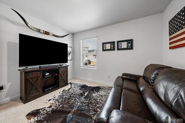 17911 Dandy Brush Lane Parker, CO 80134