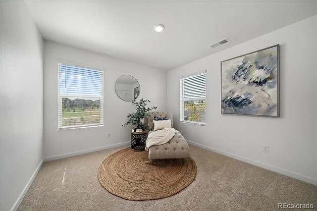 17911 Dandy Brush Lane Parker, CO 80134