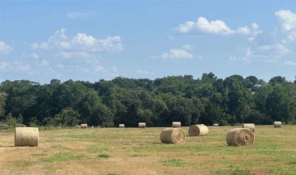 601 All Jersey Road Brenham, TX 77833