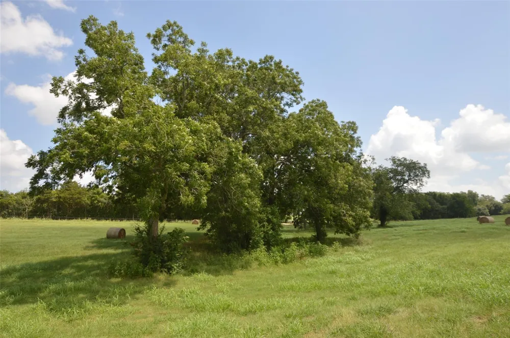 601 All Jersey Road Brenham, TX 77833