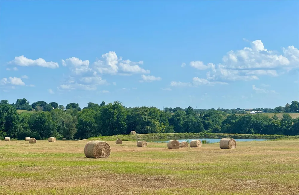 601 All Jersey Road Brenham, TX 77833