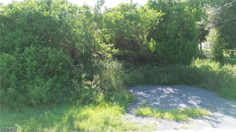 Live Oak Street