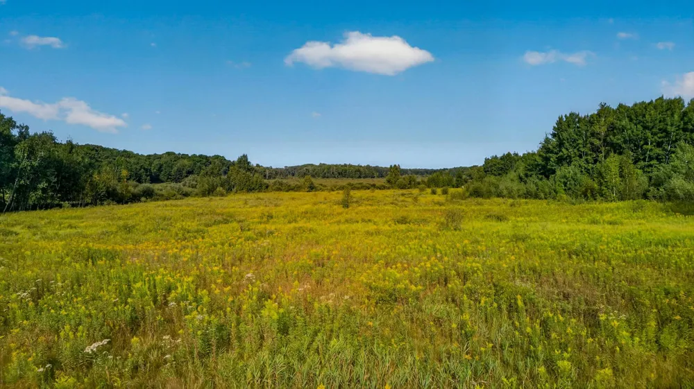TBD (Parcel C) Olson Road Hinckley, MN 55037