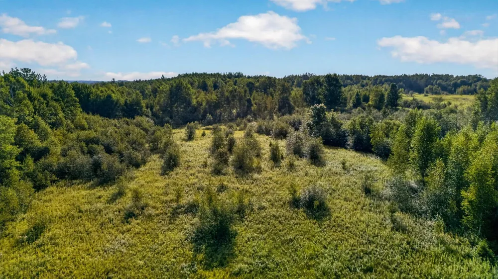 TBD (Parcel C) Olson Road Hinckley, MN 55037