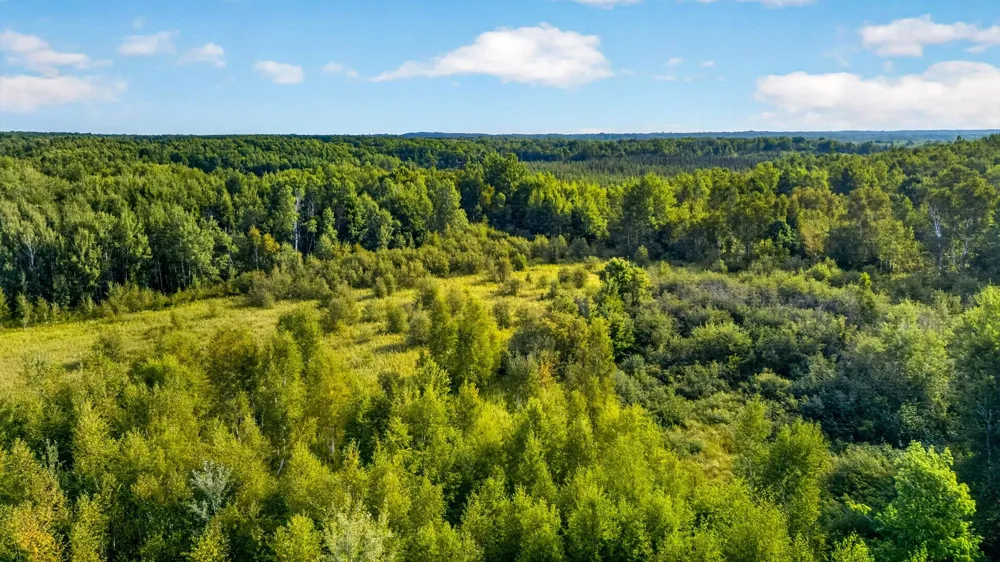 TBD (Parcel C) Olson Road Hinckley, MN 55037