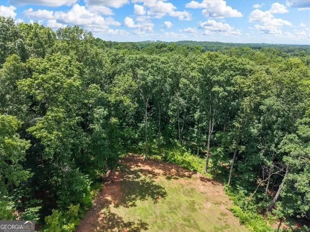 1335 County Line RD NW Acworth, GA 30101