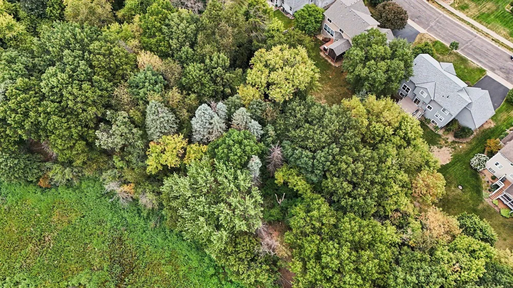 6034 Summit Curve S Cottage Grove, MN 55016