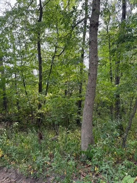 xxx 260th Woodville, WI 54028