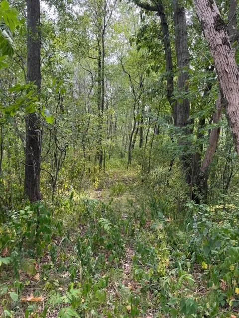 xxx 260th Woodville, WI 54028