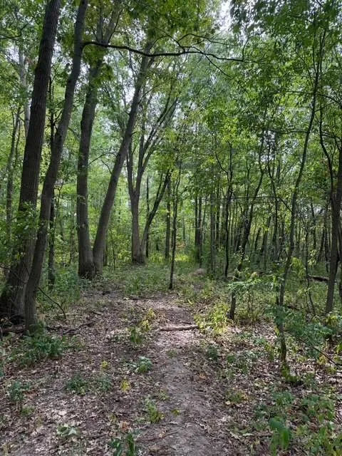 xxx 260th Woodville, WI 54028