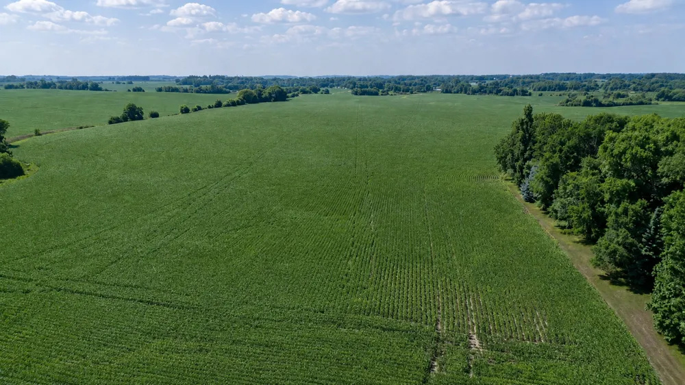 TBD 310th Avenue Underwood, MN 56586