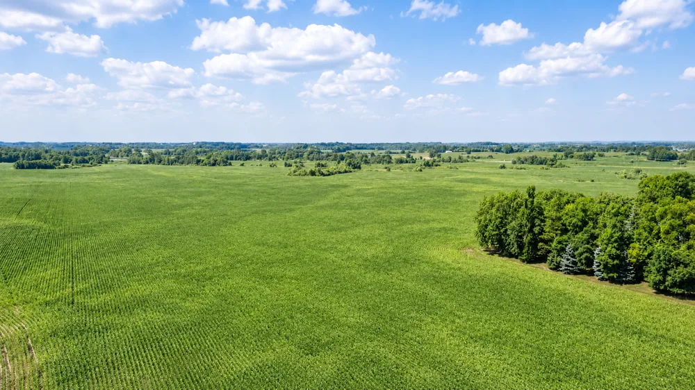 TBD 310th Avenue Underwood, MN 56586