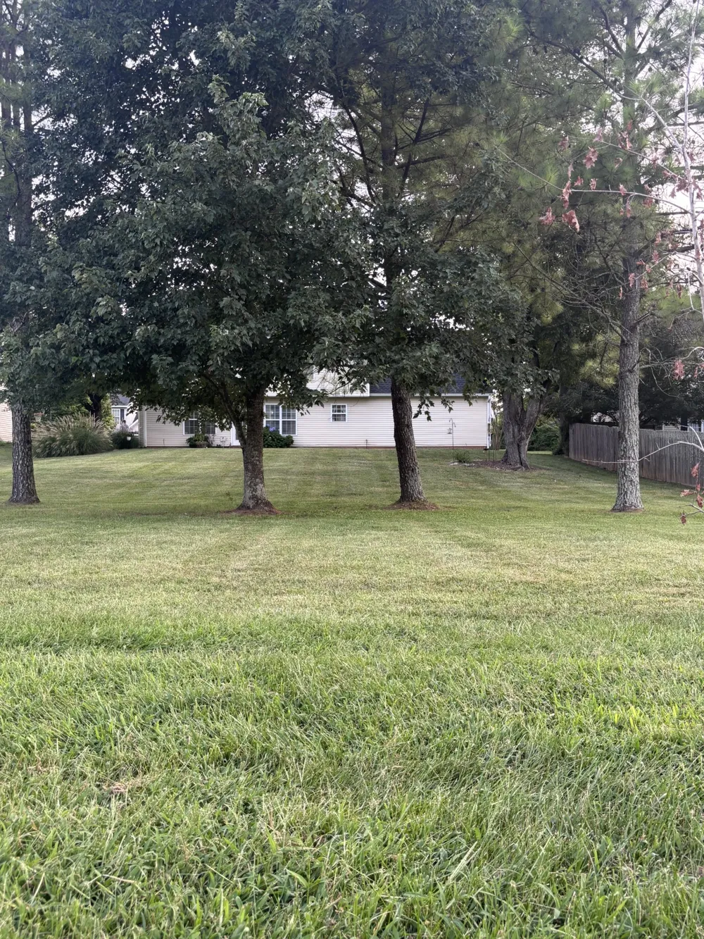 2252 Hayward Ln Spring Hill, TN 37174
