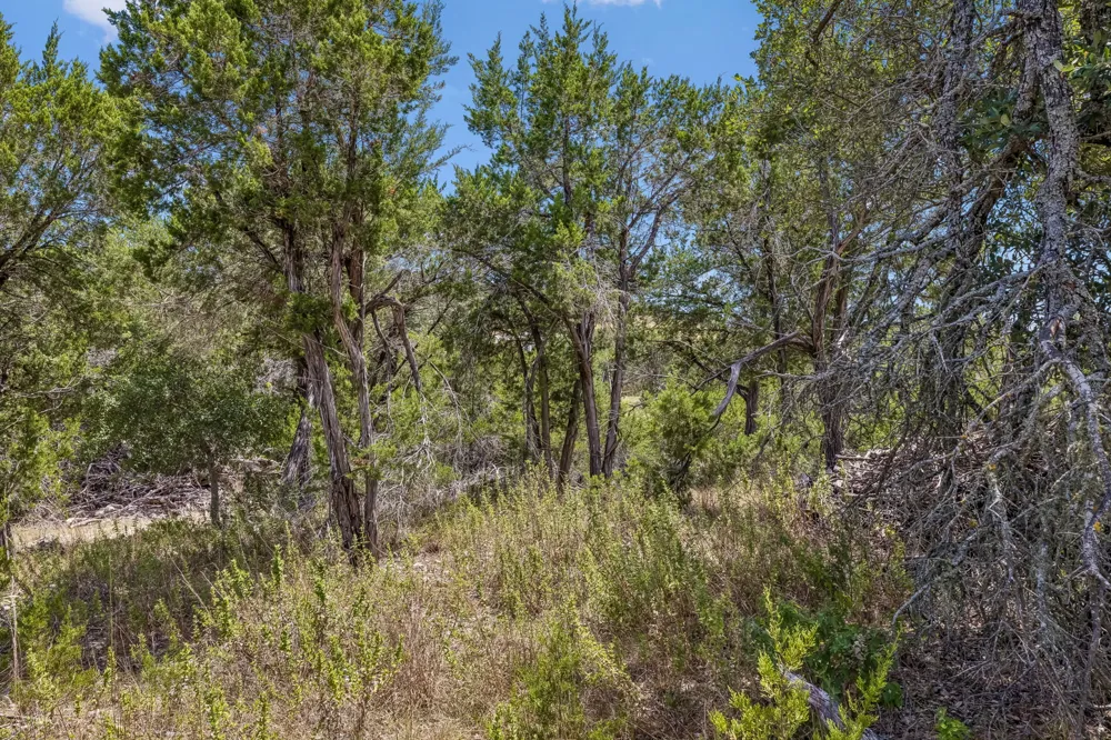 1 Evergreen Way Austin, TX 78737
