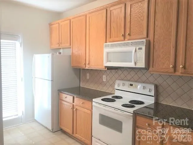 1307 Smokey Quartz Lane Fort Mill, SC 29708