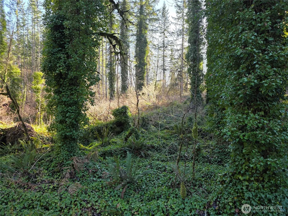 73 XX 226th Avenue NE #1 Granite Falls, WA 98252