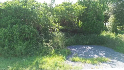 620 Live Oak Street