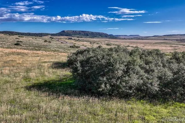 15989 S Perry Park Road Larkspur, CO 80118