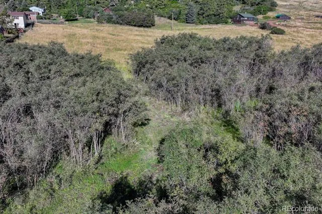 15989 S Perry Park Road Larkspur, CO 80118