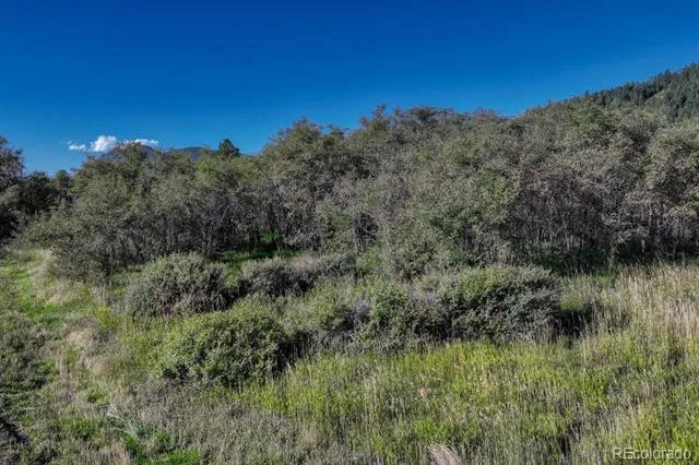 15989 S Perry Park Road Larkspur, CO 80118