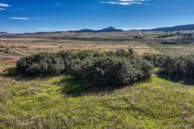15989 S Perry Park Road Larkspur, CO 80118