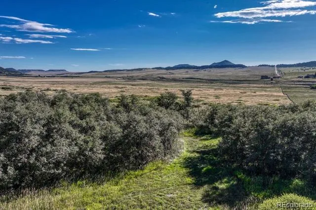 15989 S Perry Park Road Larkspur, CO 80118