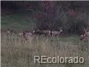 02 E Cherry Creek Road Larkspur, CO 80118