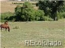02 E Cherry Creek Road Larkspur, CO 80118