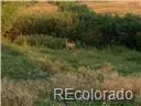 02 E Cherry Creek Road Larkspur, CO 80118