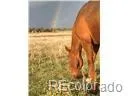 02 E Cherry Creek Road Larkspur, CO 80118