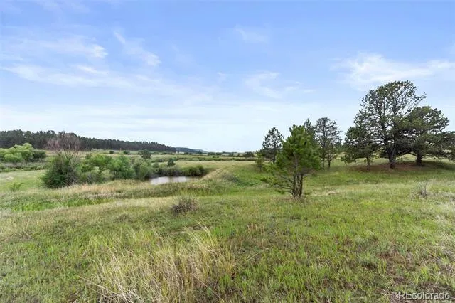02 E Cherry Creek Road Larkspur, CO 80118