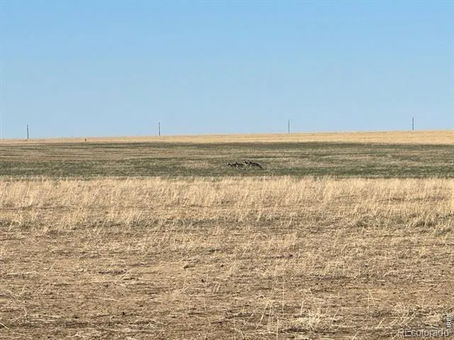 100 4 ROAD Arlington, CO 81021