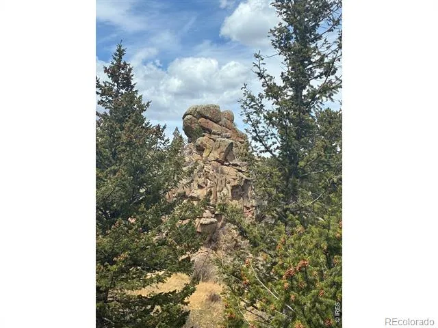 410 Monoma Road Red Feather Lakes, CO 80545