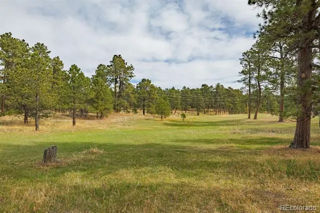13354 Meridian Road Elbert, CO 80106