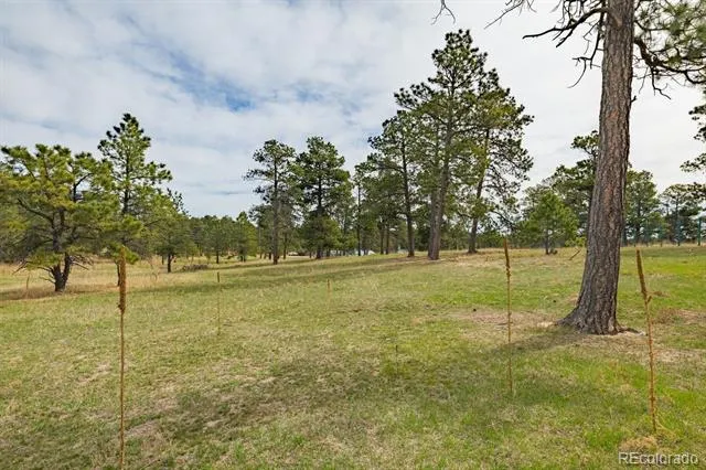 13354 Meridian Road Elbert, CO 80106