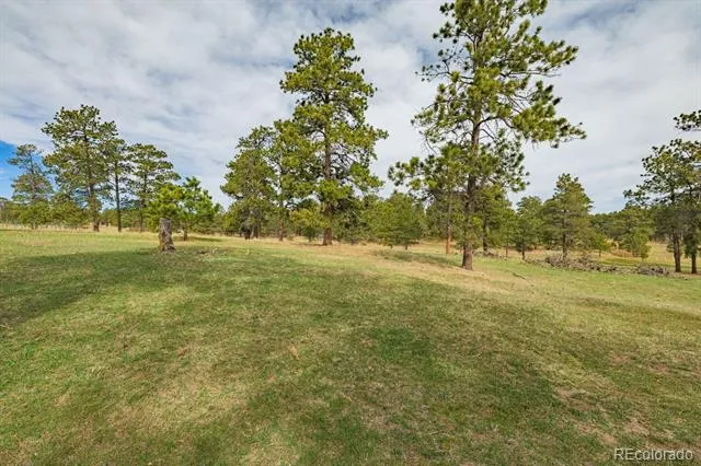 13354 Meridian Road Elbert, CO 80106