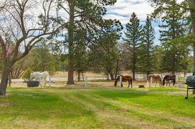 13354 Meridian Road Elbert, CO 80106