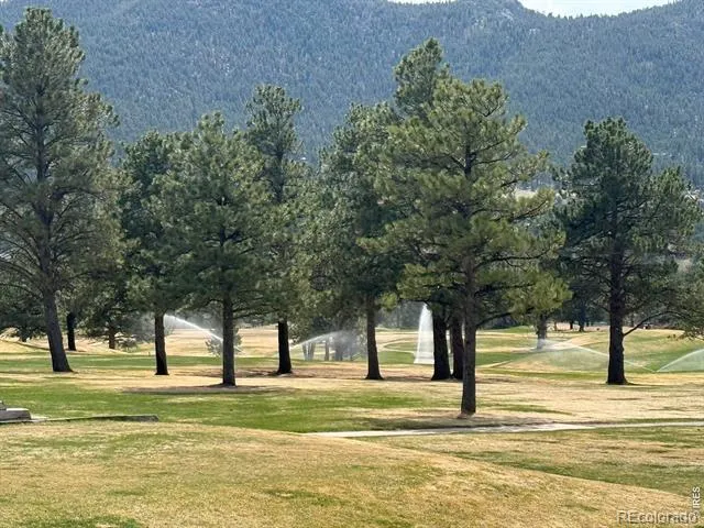 1449 Matthew Circle Estes Park, CO 80517